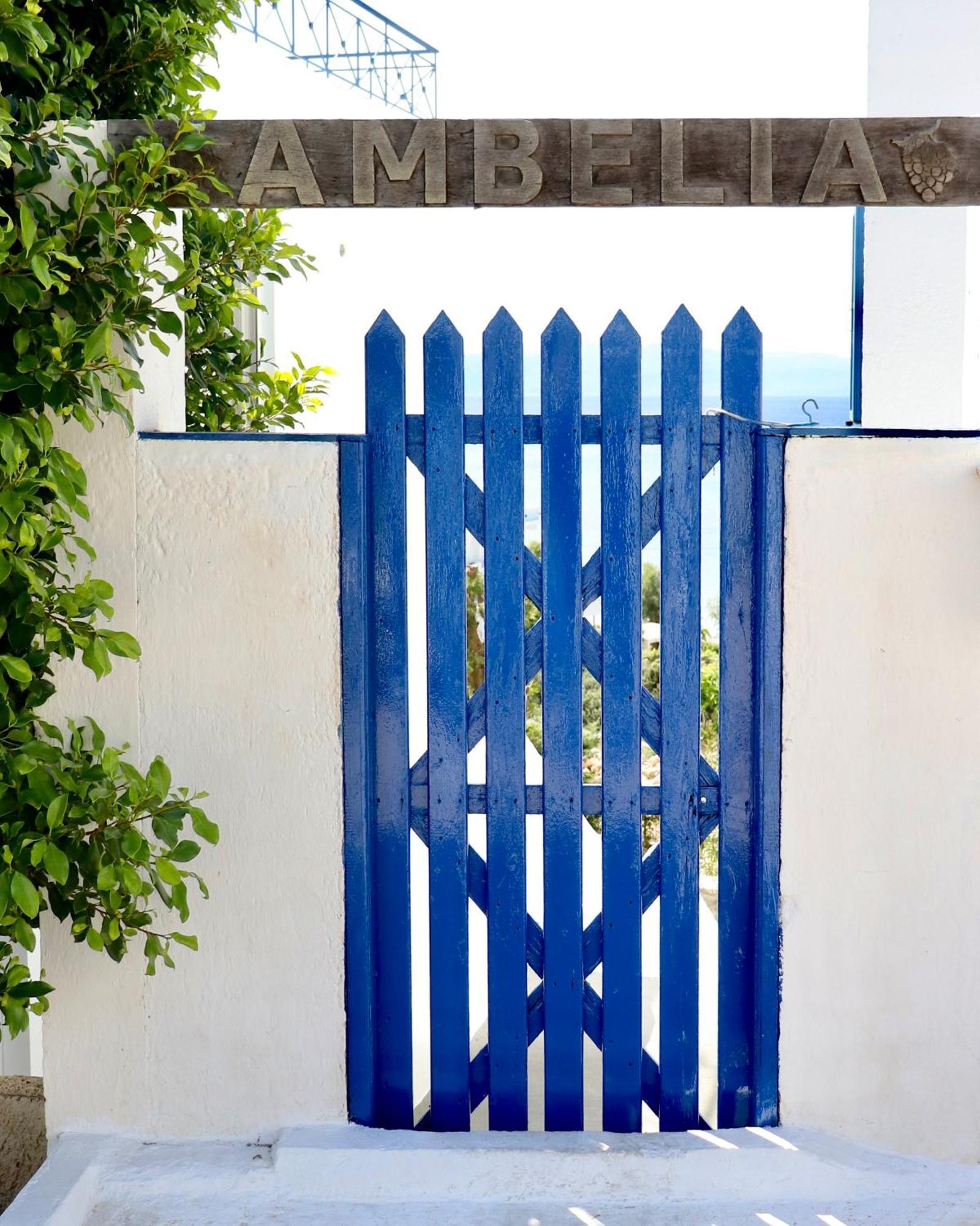 شقة 2 Ambelia Paradise Megalochori  المظهر الخارجي الصورة